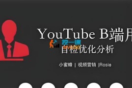 小蜜蜂《独立站结合油管引流》