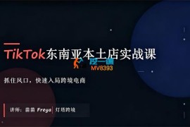 苗苗《TikTok东南亚本土店实战课》