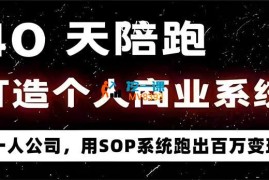 40天陪跑打造个人商业系统