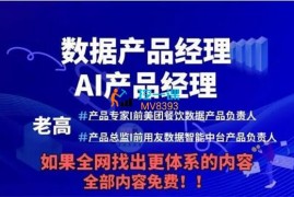 老高《数据产品+AI产品通关上岸》