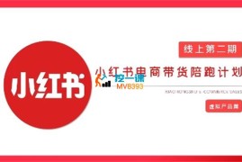 钟小玲《小红书虚拟电商带货陪跑》