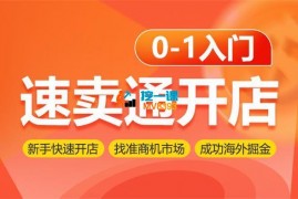 金磊《速卖通开店0-1入门》