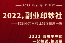 村西边老王《2022副业印钞社》