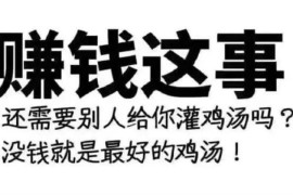 众筹：三虎·0门槛淘宝虚拟及拼多多稳定项目