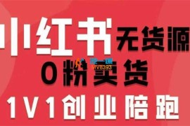 爱野佩佩《小红书0粉卖货电商课》