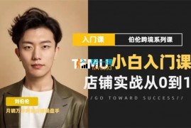 刘伯伦《Temu12天快速入门实操课》