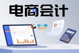 春戈《零基础电商会计课程》