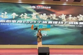 心心《直播运营个体培训线上+线下课》