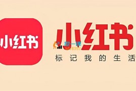 大毛《实体店小红书同城IP深度陪跑实操课》
