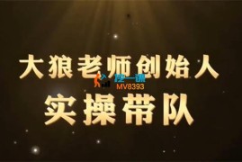 钏山甲大狼《26年千川全域直播运营线上课》