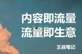 众筹：王叔笔记·21天文案引流训练营