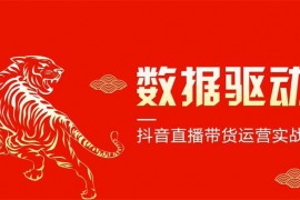 AK《数据驱动千川投放课》