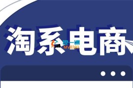 石头《淘系电商标准化起店流程私教班》