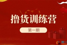 众筹：狗哥·撸货训练营一期