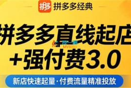 泓一《拼多多直线起店+强付费3.0》