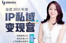 金滢《2023年度IP私域变现营》