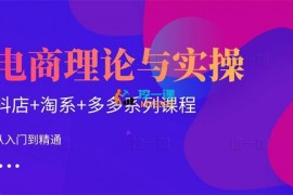 磊子《电商理论与实操》