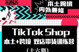 李社长《TikTok Shop本土+跨境双店带货训练营》