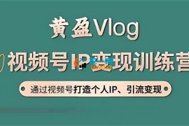 黄盈Vlog《视频号IP变现训练营》