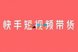 潇洒哥《快手短视频带货》