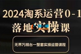 老肥《淘系从0-1线上课31节课》