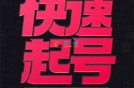 小呆《快速起号实操核心8讲》