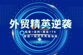 大表姐《外贸精英逆袭实操综合课》