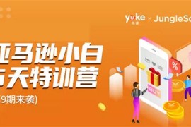 雨课《亚马逊小白5天特训营第9期》