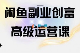 醒时学长《闲鱼电商运营高级课程》