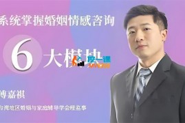 傅嘉祺《系统掌握婚姻情感咨询》