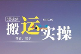 丸子部落《短视频无脑搬运技术》