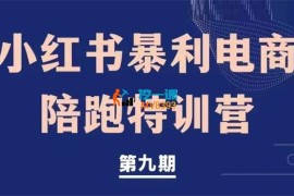 众筹：书豪·小红书暴利电商训练营