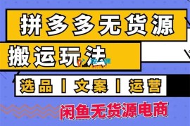 胖达《拼多多无货源店群》