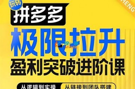 屿川《拼多多极限拉升盈利突破进阶课》