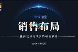 小伟《销售布局10讲》