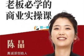 陈晶《老板必学的商业实操课》