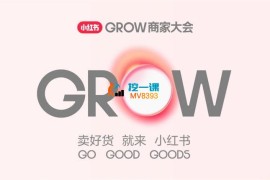 王老师《小红书千帆广告投放系统实战课》