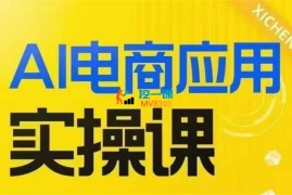 阿飞《AIGC电商应用实操课（加更DeepSeek）》