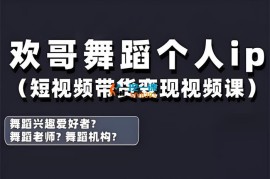 欢哥《舞蹈个人ip短视频带货变现课》