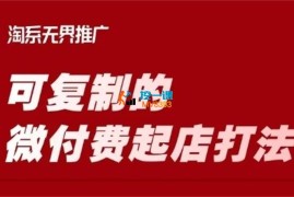 韩维《淘宝可复制的微付费起店打法》