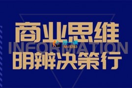 lisa《商业思维：从CEO视角出发做对经营决策》