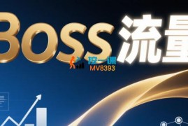 十年《Boss引流》