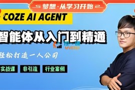 张泽《CozeAI智能体落地实战从入门到精通》