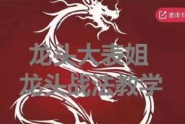 众筹：龙头大表姐龙头战法教学