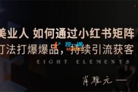 肖雅元《美业人小红书矩阵引流获客》