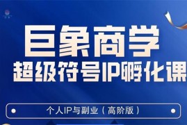 巨象《超级IP孵化高阶陪跑课》