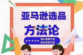 亦冰《亚马逊蓝海选品课》