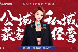 叨叨《全域获客经营线下密训营（8-9月线下课）》