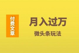  祖小来《月入过万可复制微头条玩法》
