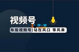 壹壹《视频号养生数字人视频制作》